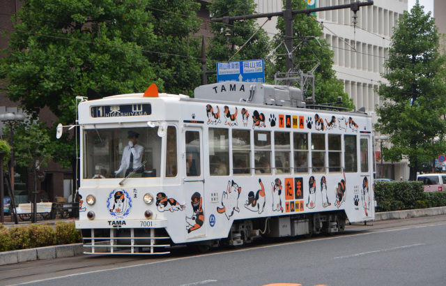 岡山電気軌道　7000形（2000形もと呉市電800形）1980年～　岡軌7000系更新車①